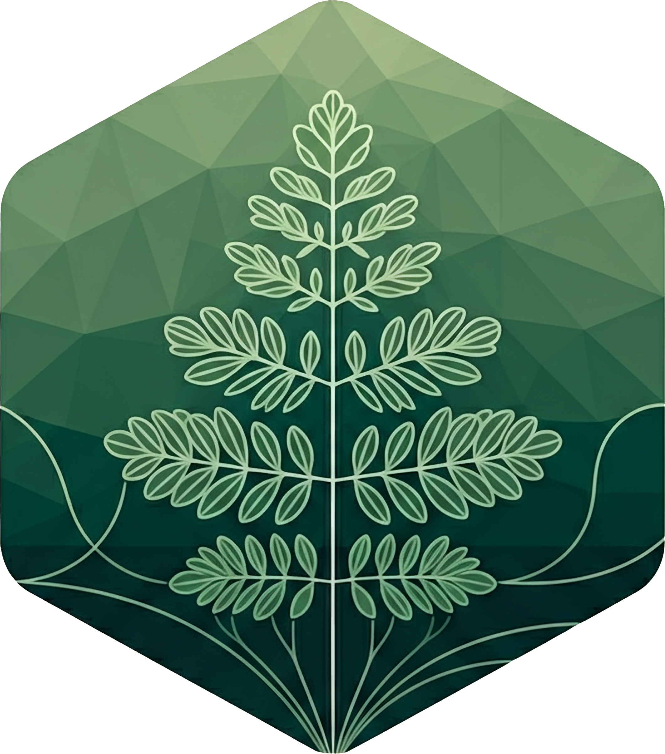 ZOLX Inc. Logo